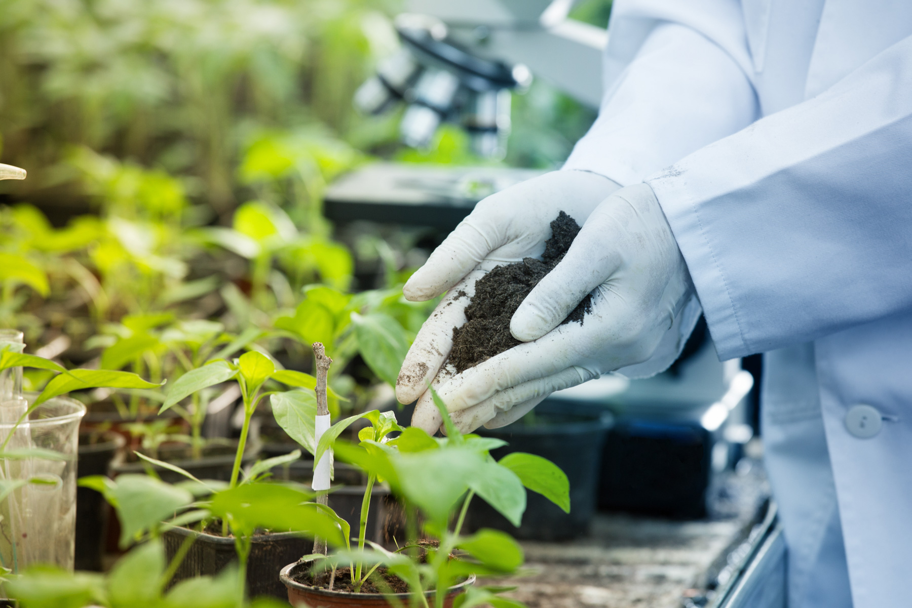 Biopesticides in testing.