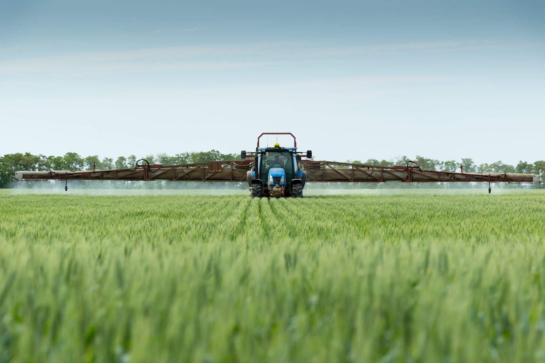 Blue Frog Scientific Agrochemical Regulatory Specialists