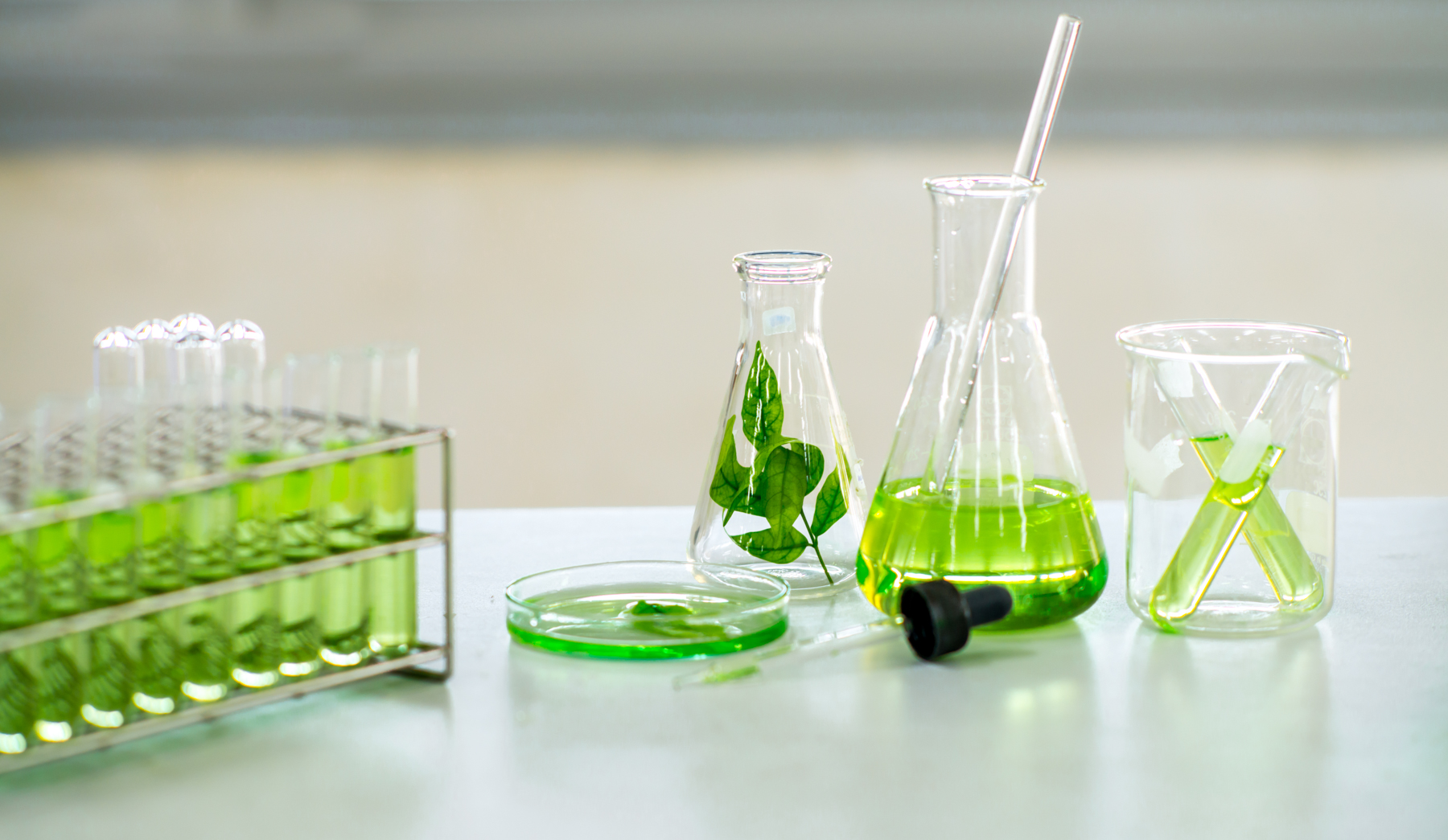 Biocontrol Testing