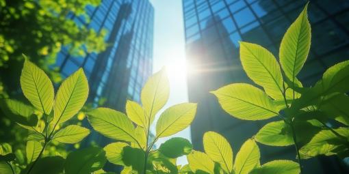 Healthy plants in front of a corporate building.