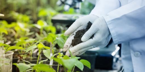 Biopesticides in testing.