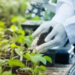 Biopesticides in testing.